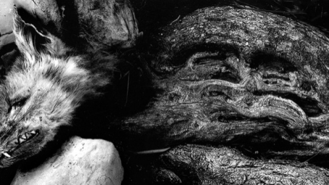 Questione di vita e di morte - di Leonardo Battista - Dreamerlandscape - dreamerlandscape.com