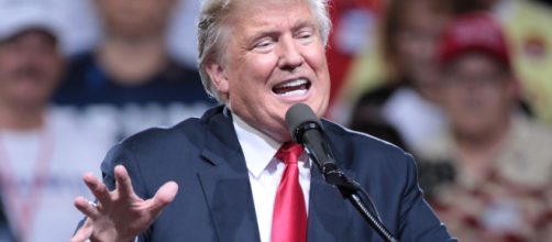 Donald Trump | by Gage Skidmore | Flickr