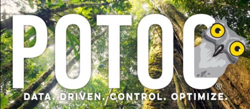 Potoo gets its name from a bird that dwells in the Amazon. / Image via Fred Dimyan and Potoo, used with permission.