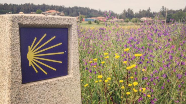 Cammino di Santiago - Penultima tappa da Melide a O Pedrouzo