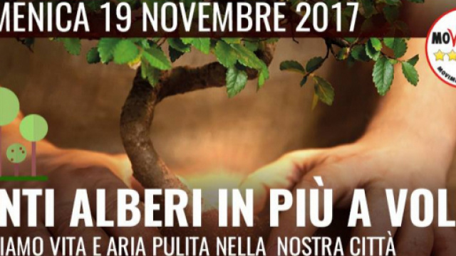 Alberi a Volla Napoli scopri come