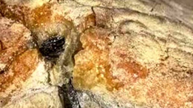 Chiodo trovato nel pane in una mensa scolastica genovese - salernotoday.it