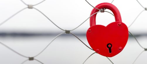 (Image Credit: In the Brain, Romantic Love Is Basically an Addiction - discovermagazine.com)