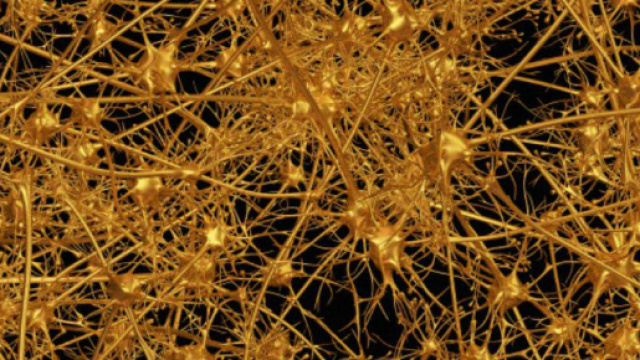 Annabell, la rete neurale artificiale che parla