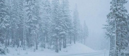 Mammoth calls out the plows as first snow of the season coats ... - latimes.com