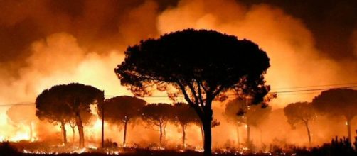 Este a&ntilde;o es ya el peor en incendios forestales desde el 2012