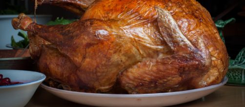 Image of a turkey -- Tim Sackton/Flickr