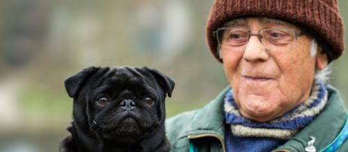 Owning a dog can decrease the risk of cardiovascular diseases [Image Credit: Martin Cooper/Flickr]