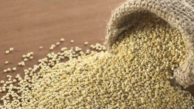 Amaranto: il grano degli dei (che non &egrave; un cereale) - Green.it - green.it