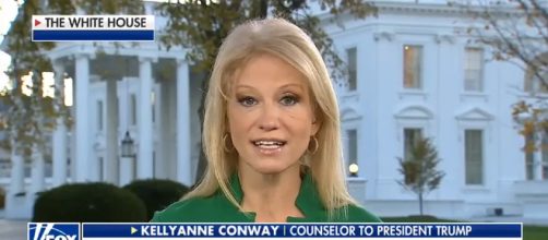 Kellyanne Conway on Fox News, via YouTube