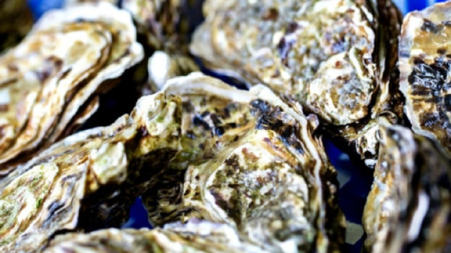 Ostriche con biotossine, rischio paralisi