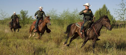 Border Patrol agents on horseback in South Texas. - [Image credit &ndash; Donna Burton, Wikimedia Commons]