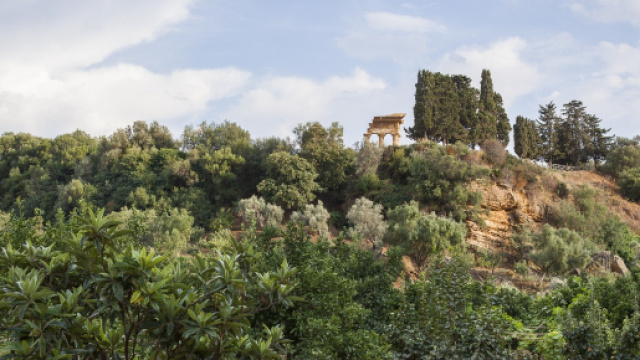 Giardino della Kolymbethra | - Fondo Ambiente Italiano - fondoambiente.it