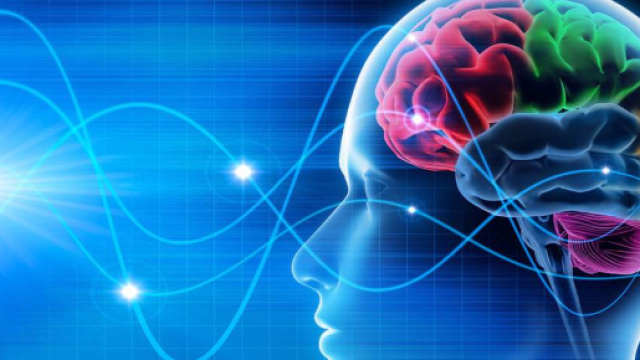 Un impianto cerebrale per migliorare la memoria