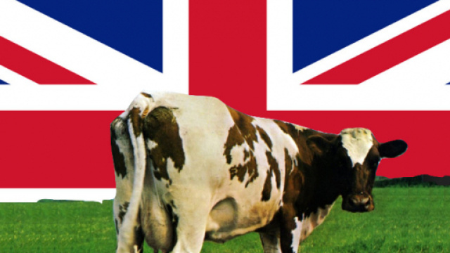 (Fonti: www.wikipedia.org , www.discogs.com)