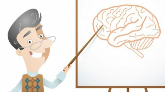 Sei falsi miti sulla psicologia e gli psicologi