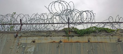 The punitive approach is bad policy. (Image shelleytorok Pixabay)