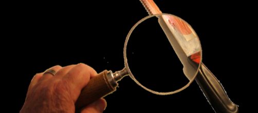 Violence solves nothing at all. - [Image bluebudgie Pixabay]