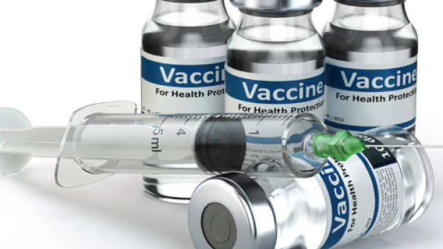 10 vaccini obbligatori per decreto: non sarebbe stato meglio il ... - dolcevitaonline.it