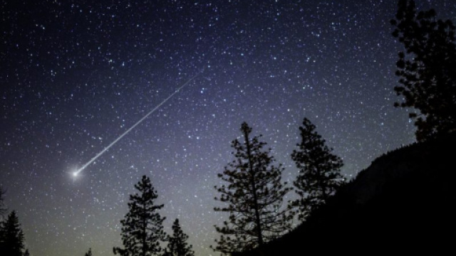 Oroscopo settimanale dicembre 2017