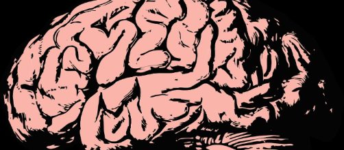 A pesar de todos los avances en la tecnolog&iacute;a, todav&iacute;a queda mucho por comprender del cerebro humano