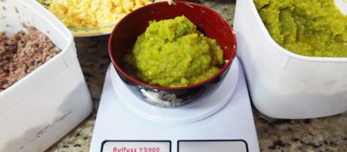 O desafio da alimenta&ccedil;&atilde;o natural para gatos