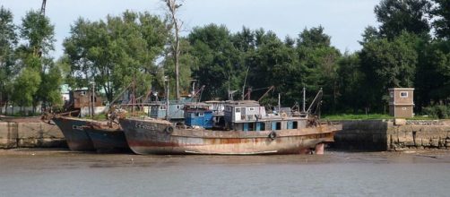 North Korean boats (Image credit &ndash; Suikotei, Wikimedia Commons)