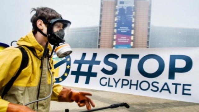 A nulla sono serviti i milioni di firme raccolte contro il glifosato
