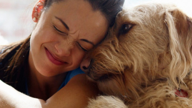 Il tuo cane adora vederti sorridere, l'ormone dell'amore coinvolto nella relazione uomo-cane - foto:enpamilano.org
