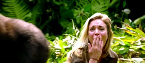 A rare first encounter between human and Western Lowland gorilla leads to love [Image credit: The Aspinall Foundation/YouTube]