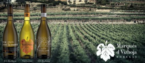 Variedades Marqu&eacute;s de Vizhoja - Bodegas Marq&eacute;s de Vizhoja/Tripadvisor