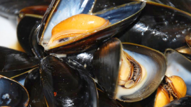 Allarme cozze in tutta Italia, i dettagli