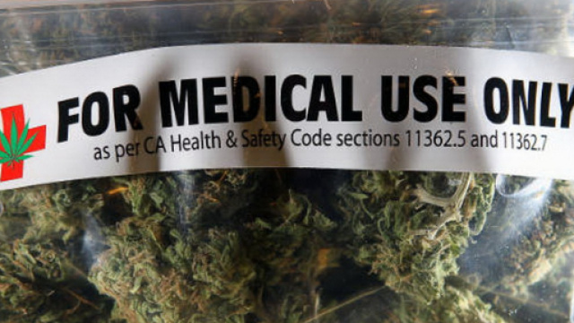 Le cannabis - Planter, poss&eacute;der et fumer l&eacute;galement en Californie - frenchdistrict.com