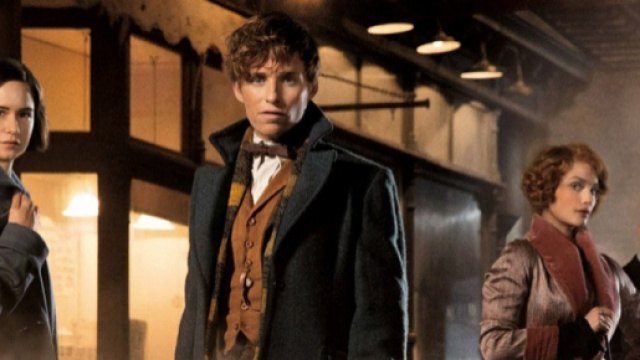 Les Animaux Fantastiques 2" se passera "presque enti&egrave;rement &agrave; Paris" - rtl.fr