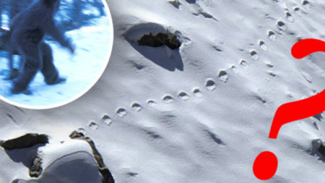 Yeti footprints photographed in snow in Bhutan | Daily Star - dailystar.co.uk
