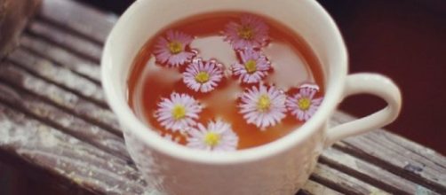 Perd&iacute; mucha grasa corporal con estos remedios caseros