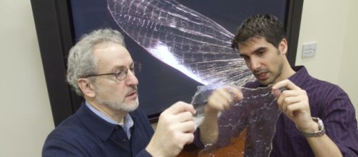 El caparaz&oacute;n de artr&oacute;podos para la producci&oacute;n de biopl&aacute;stico