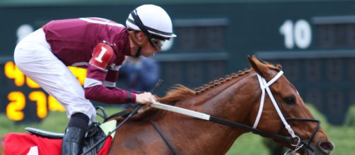 Gun Runner is one of the favorites at today's Breeders' Cup. [Image via Bloodhorse/YouTube]
