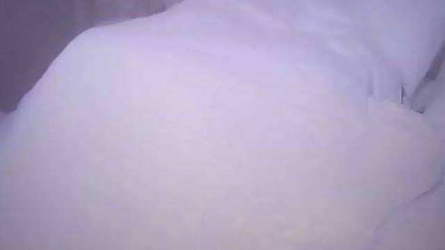 Cecilia Rodriguez e Ignazio Moser hanno trascorso la notte da soli nella suite