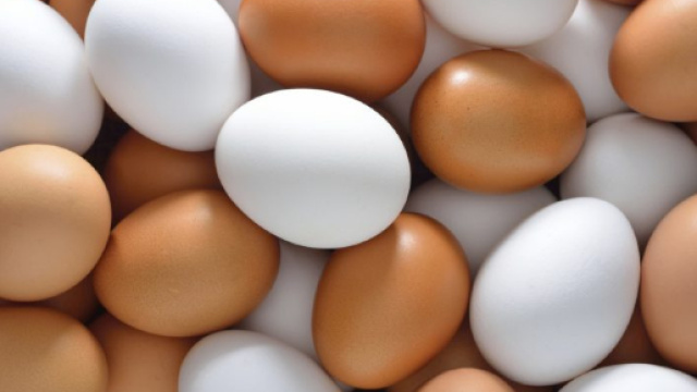 Ecco perch&egrave; le uova scarseggiano nei supermercati