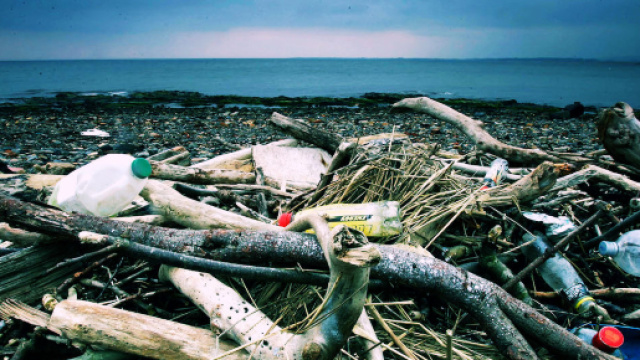 Entro il 2050 il mare della Sardegna sar&agrave; invaso dalla plastica.
