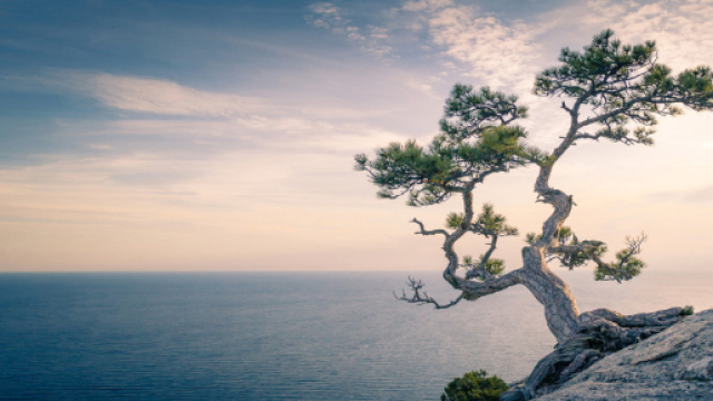 Mindfulness, la strada verso la felicit&agrave; &ndash; Il Giornale dello Yoga - ilgiornaledelloyoga.it