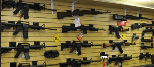 Imigration, gun control and politics - Image credit - Michael Saechang | Flickr