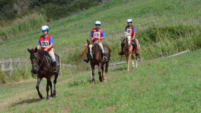 Ragazza in coma aseguito caduta da cavallo.