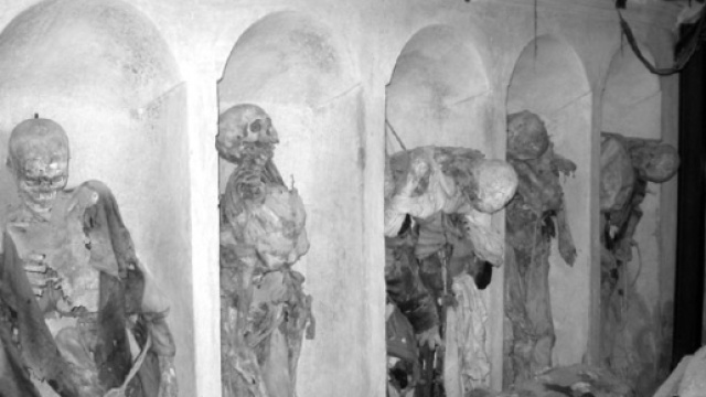 Francia: necrofilo abusa dei cadaveri in obitorio