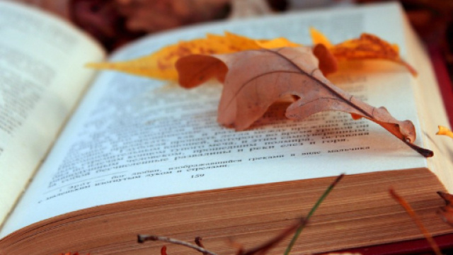 Novembre: i titoli pi&ugrave; attesi in uscita in libreria | Befan.it - befan.it