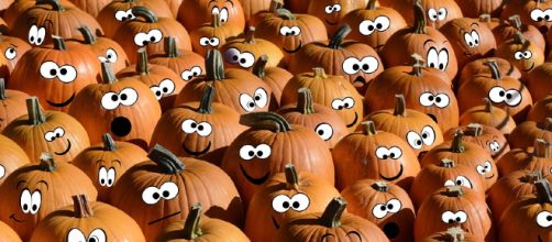 A Canadian animal shelter benefited from 300 post-Halloween pumpkins for their residents. [Image credit: Pixabay/CC0]