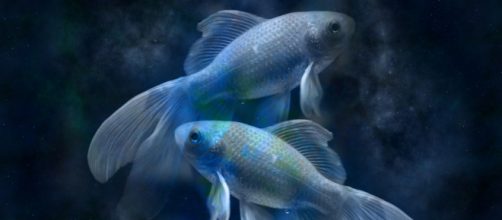 Piscianos s&atilde;o sens&iacute;veis e dedicados dentro de um relacionamento