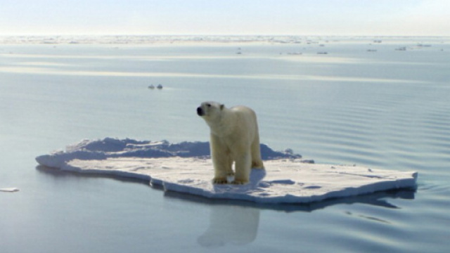 Il riscaldamento globale, un dramma planetario