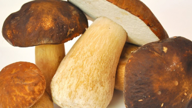 I funghi porcini, cibi superfood antiossidanti, antinvecchiamento - foto:pixabay.com